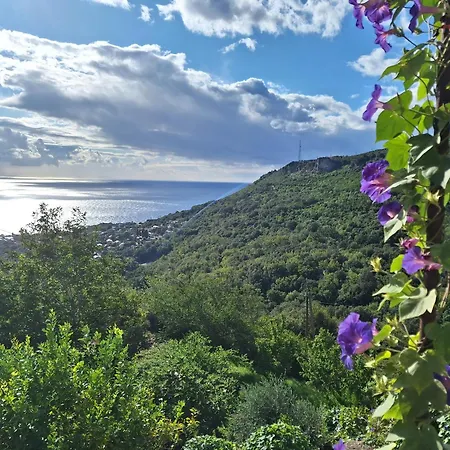 Maison De Village Avec Terrasse Σπίτι διακοπών *